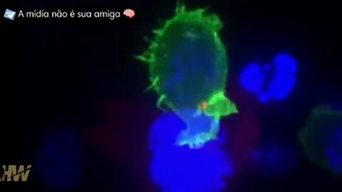 "Understanding COVID-19 Vaccination's Role in Cancer Promotion: Insights from Dr. Cole"