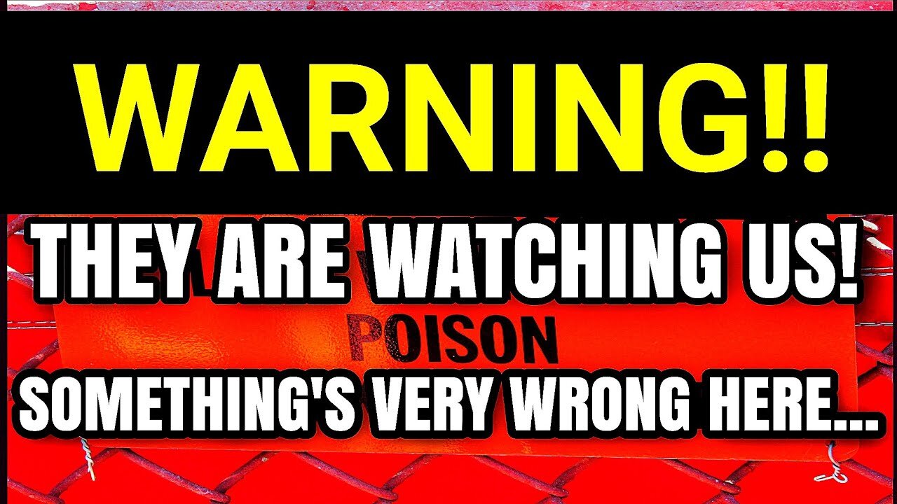 They Said It Was Nothing... Now Look What's Happening!