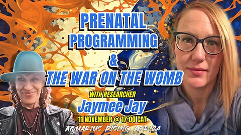 Prenatal Programming & The War on the Womb with Jaymee Jay