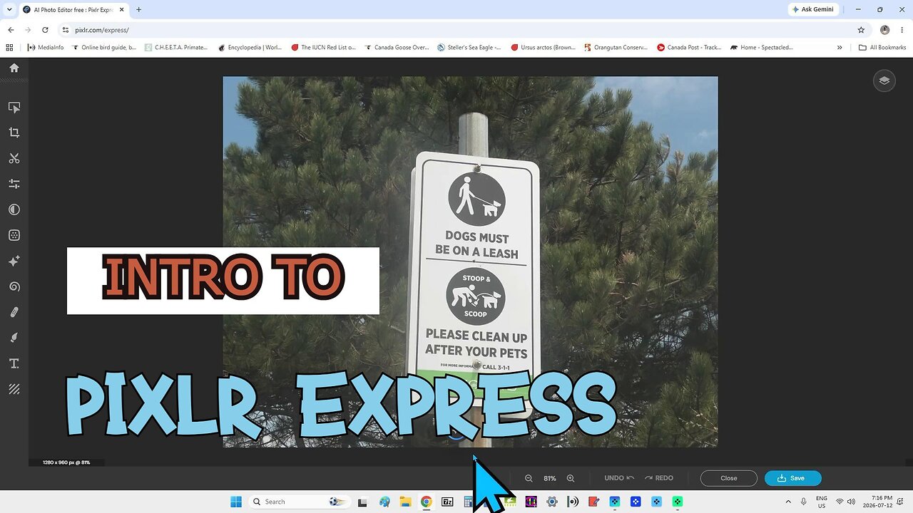 Intro to Pixlr Express