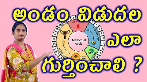 అండం విడుదల ఎలా గుర్తించాలి Know About Firtile Window? Ovulation Homeopathy Treatment Medicine Cure