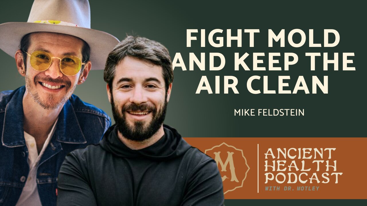 411: Fight Mold and Keep the Air in Your Home Clean | Mike Feldstein
