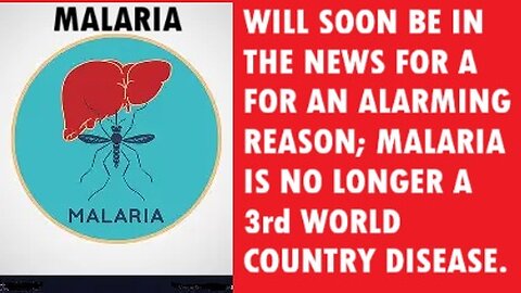Malaria Outbreak: Will Come To The USA