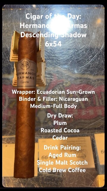 Descending Shadows (Hermanos De Armas) 6x54 #CigarOfTheDay #CigarReview