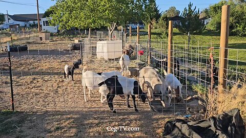 Graham Family Farm NW: 7:00 PM August 7 2025