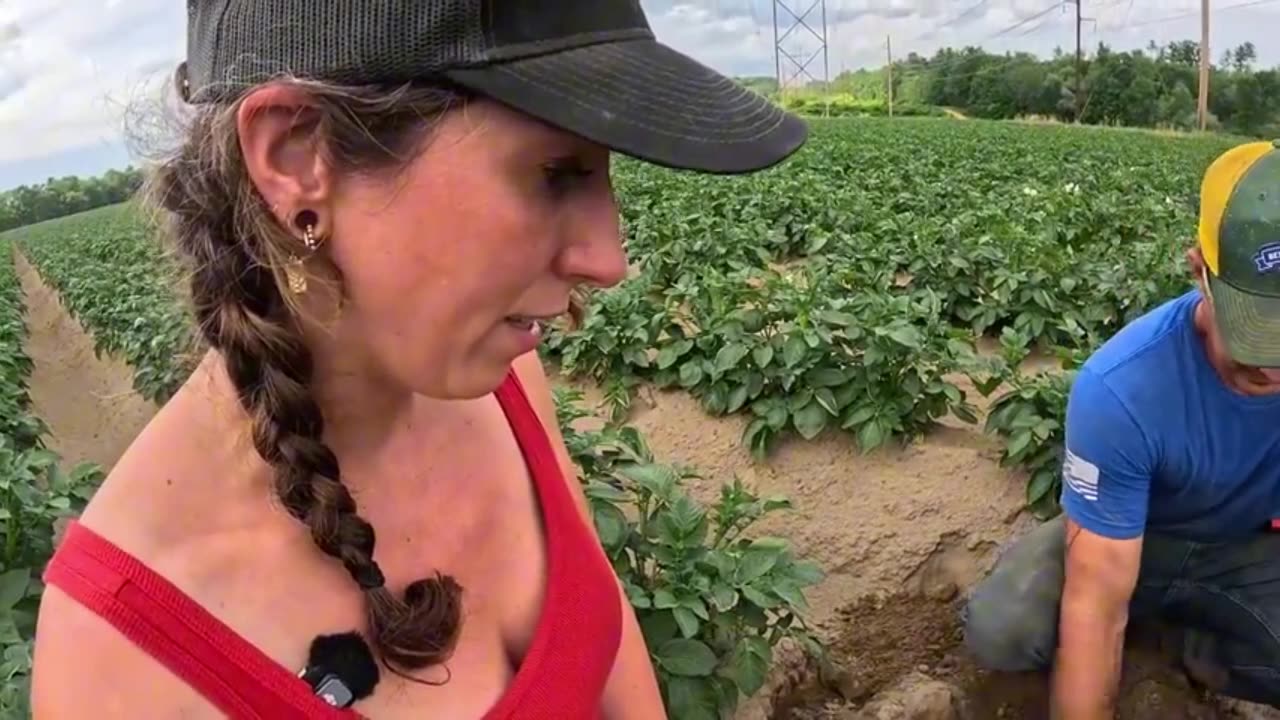 Finally! Our Farm is Green Again with a New Water Pump