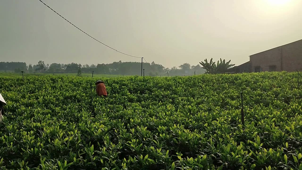 Success Stories: How Night Shift Workers Lost Weight and Kept It Off