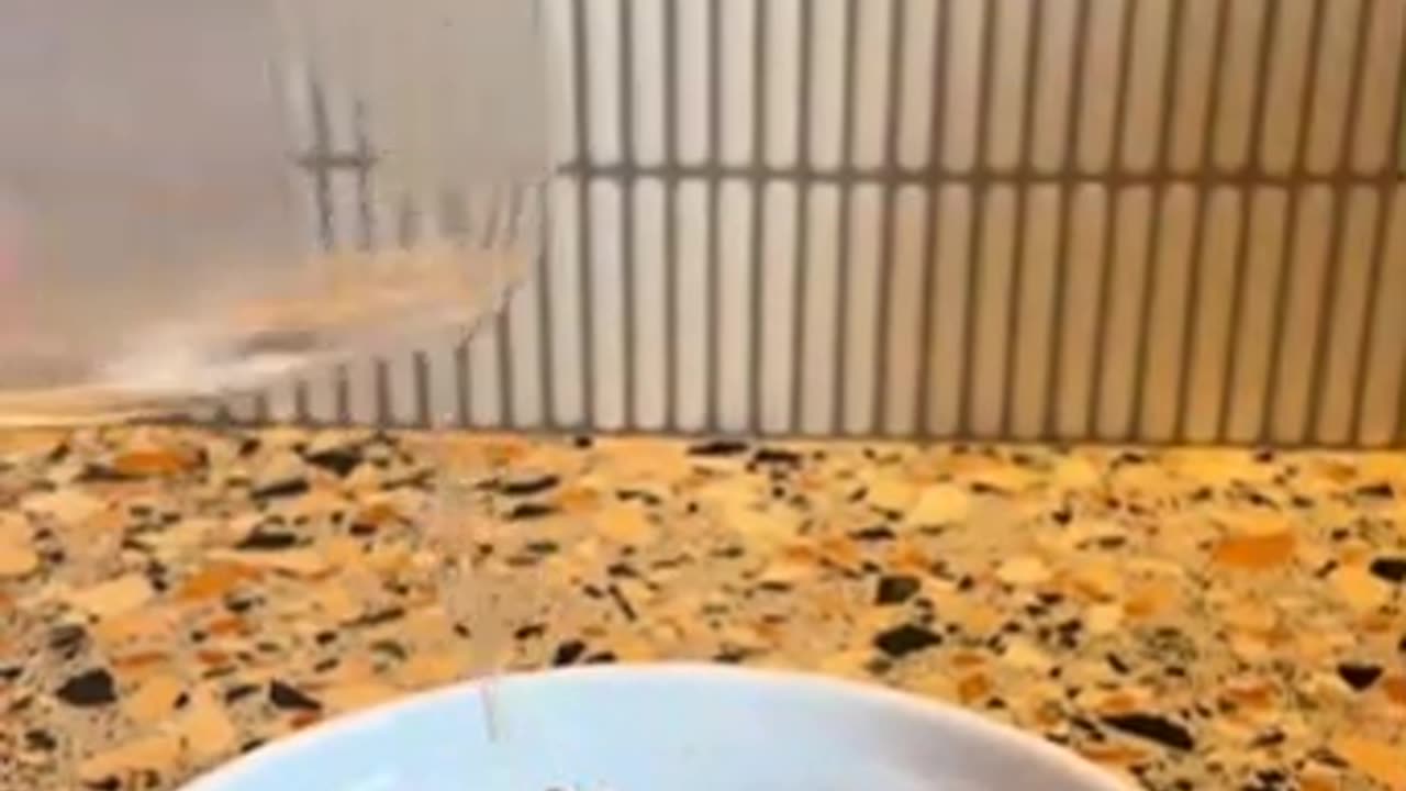 Protein Balls