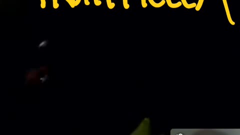 MOMMA ACE BACK UP IN HER BABYDADDY HAITIVOODOO BOX AGAIN SKINNING & GRINNING IKYFL SMH LMMFAO