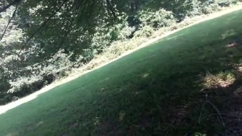 GANGSTALKING SIMULATION
