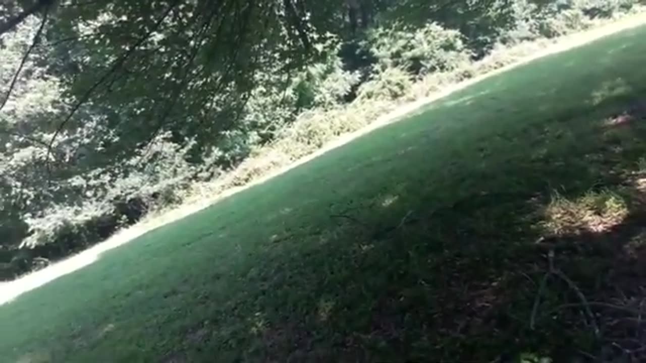 GANGSTALKING SIMULATION