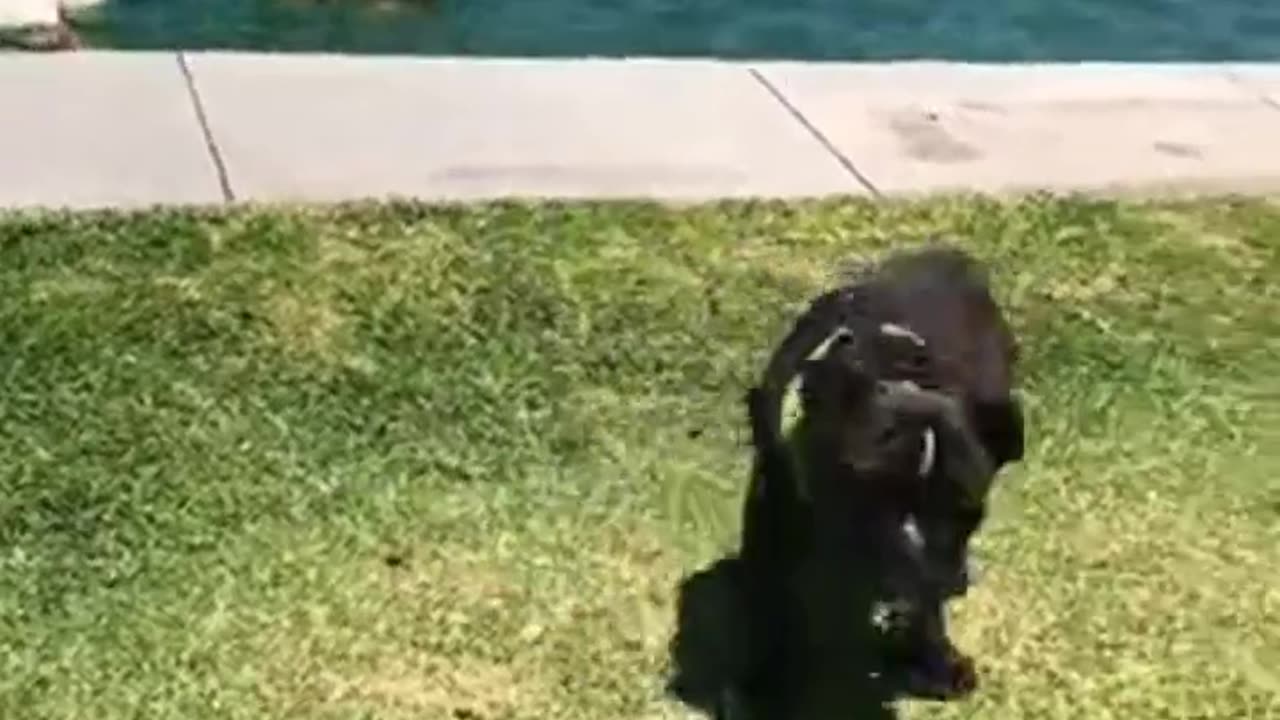 O Amor de Deus é Infinito