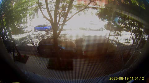 Alternate Side Parking