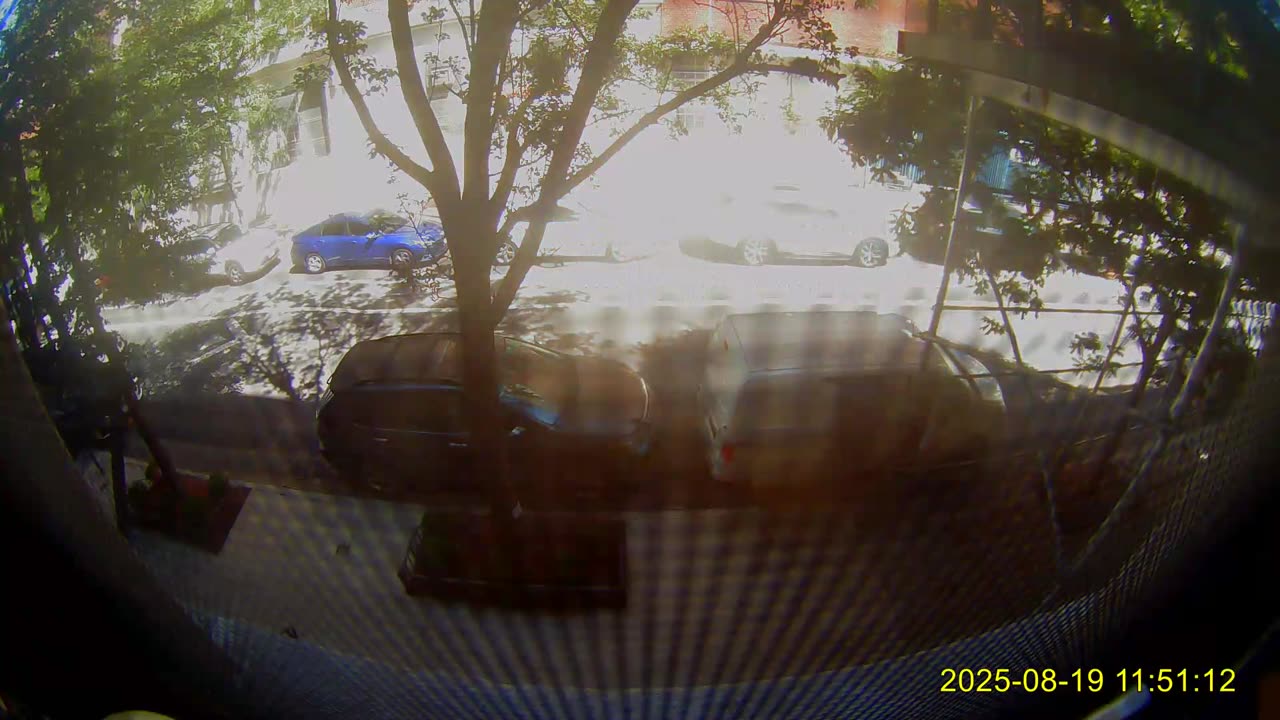 Alternate Side Parking