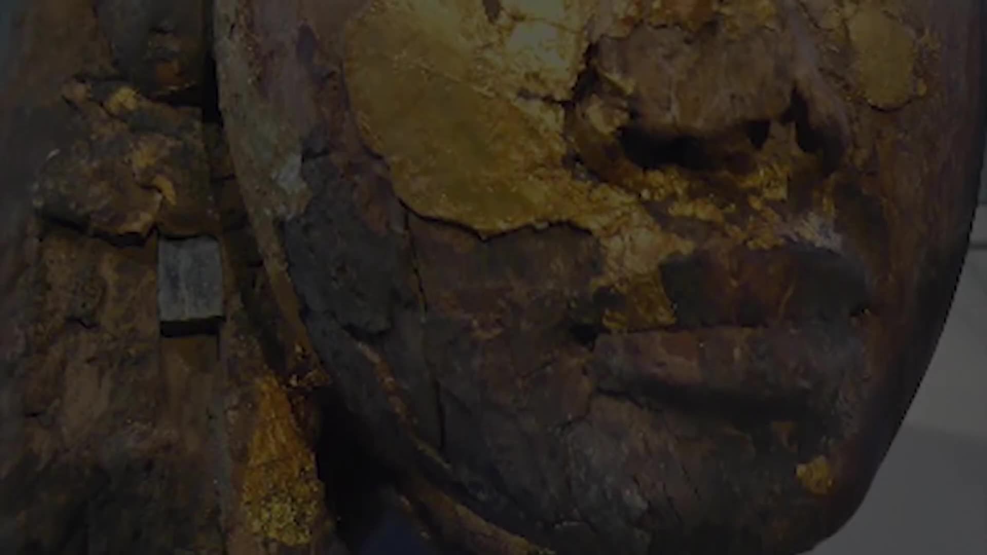 EGYPTIAN PRINCESS SCOTIA