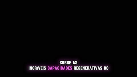 Mergulho Profundo O Guia Definitivo da Regeneração Humana in Portuguese