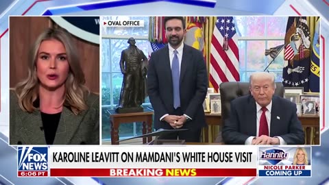 Leavitt reveals what went down behind closed doors of Trump-Mamdani meeting