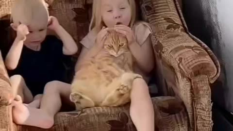 The relationship between cats and children