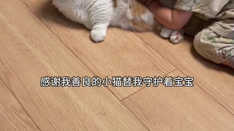 📹 Trending Chinese Viral Videos | Funny, Emotional & Shocking Moments