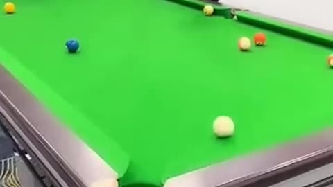 Funny Video