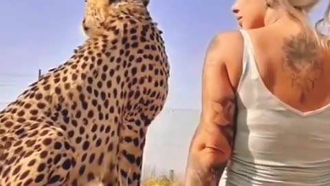 Rescuing a leopard