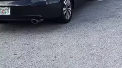 Black Karen humiliated herself