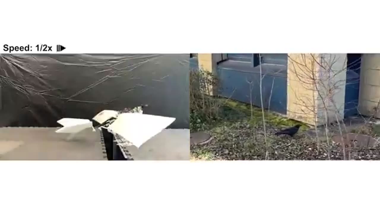 Robot birds coming soon if they’re not here already!