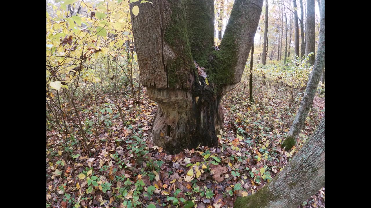 Backpacking Ohio's Lake Vesuvius
