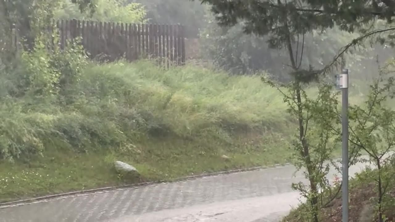 Daily Horoscope | Scorpio 🌟