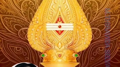 ONE SUN ONE TMS LEGEND M.THIRAVIDA SELVAN SINGAPORE TMS FANS 2025