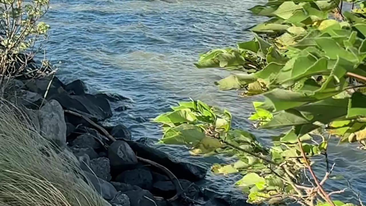 《淡水河邊的風》 (The Breeze by the Tamsui River）