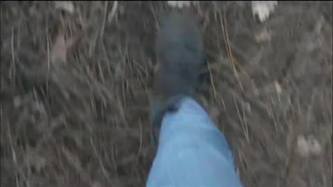Walking Through Dead Leaves