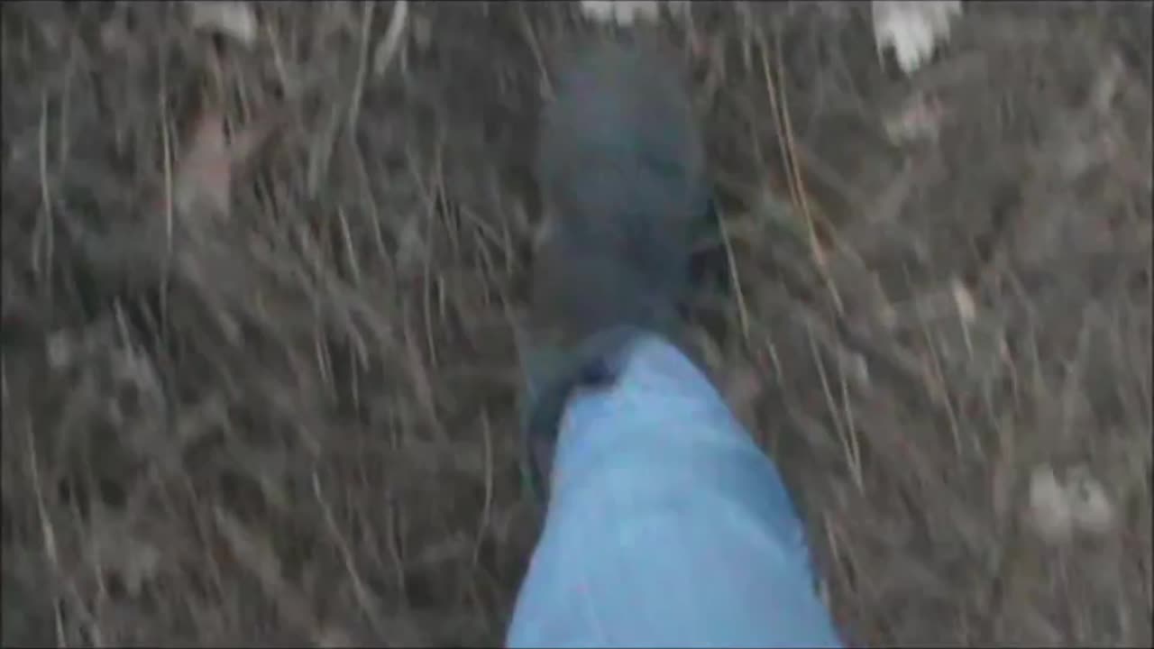 Walking Through Dead Leaves