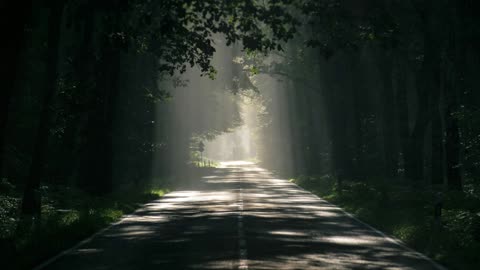 A Ray of Hope on a Dark Forest Road – Breathtaking Nature Wallpaper in 2K