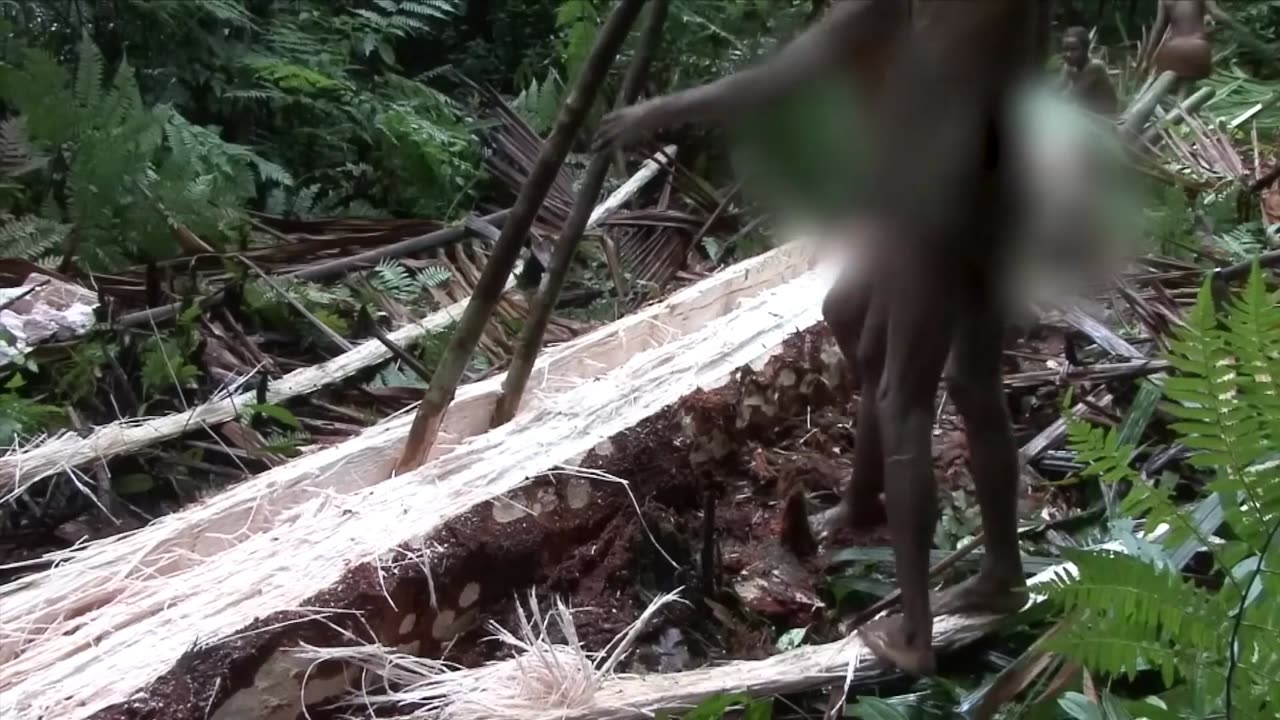Cette TRIBU ne vient PAS de notre PLANÈTE ! Les scientifiques sont perplexes !