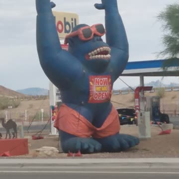 🧐🧐🤨...Caught With His Pants Down...😆😂😅🤣😆😂😅🤣