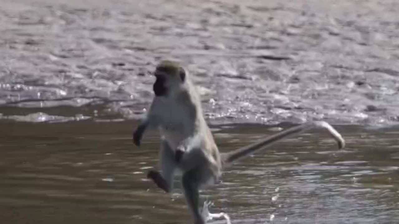 U Can't Touch This