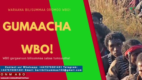 Gabaasa Gumaacha ONM-ABO Fulbaana 4-2025 itti dhiyaadhaa!