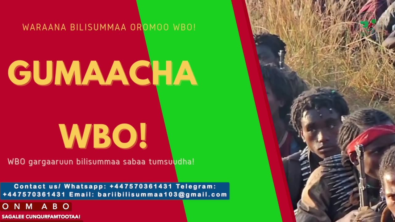 Gabaasa Gumaacha ONM-ABO Fulbaana 4-2025 itti dhiyaadhaa!