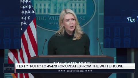 Karoline Leavitt Addresses Tom Homan's Minnesota Visit