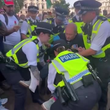 Un veterano e invalido della Royal Air Force è stato arrestato dalla polizia di Londra