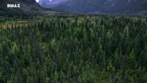 PIE GRANDE / BIGFOOT / SASQUATCH / YETI EN EL TRIANGULO DE ALASKA