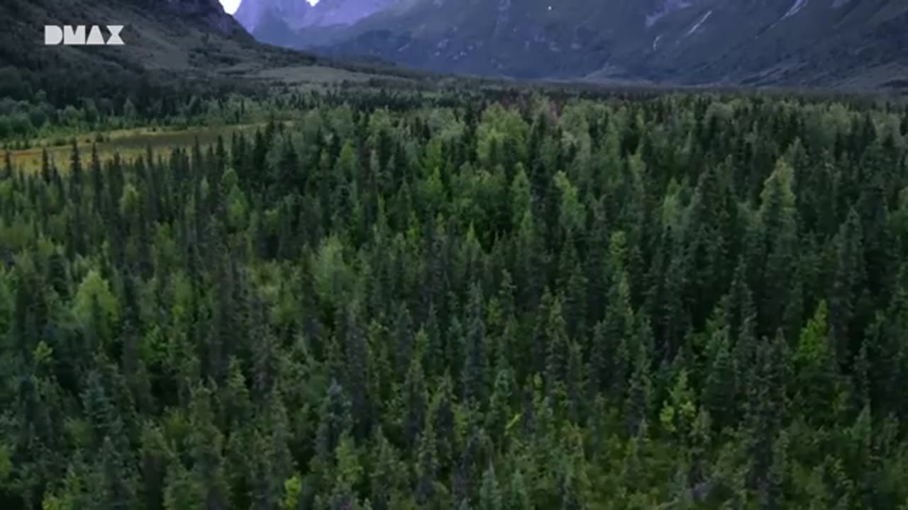 PIE GRANDE / BIGFOOT / SASQUATCH / YETI EN EL TRIANGULO DE ALASKA