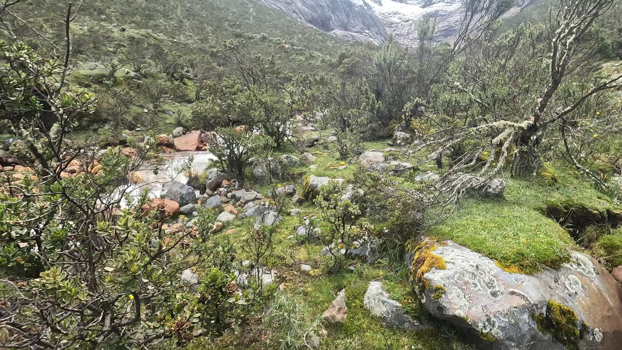 Piedrete en la naturaleza...