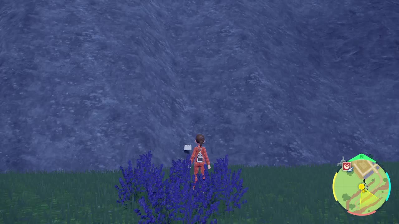 Pokemon Scarlet - Walking Bag