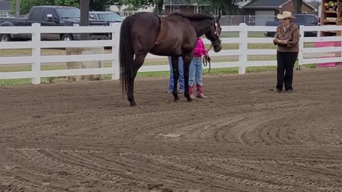 Throwback Kyla 6 years old Showmanship the early days of showing!