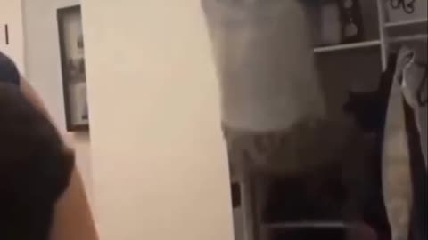Daily Dose of Fails & Funny Reels! 🤣🔥