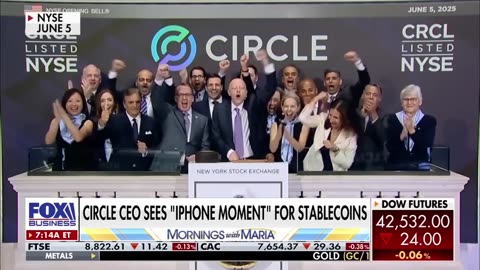 According to Circle CEO, "we're in the very early stages" of this market sweet spot.