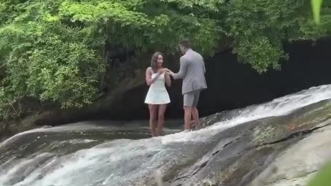 Proposal