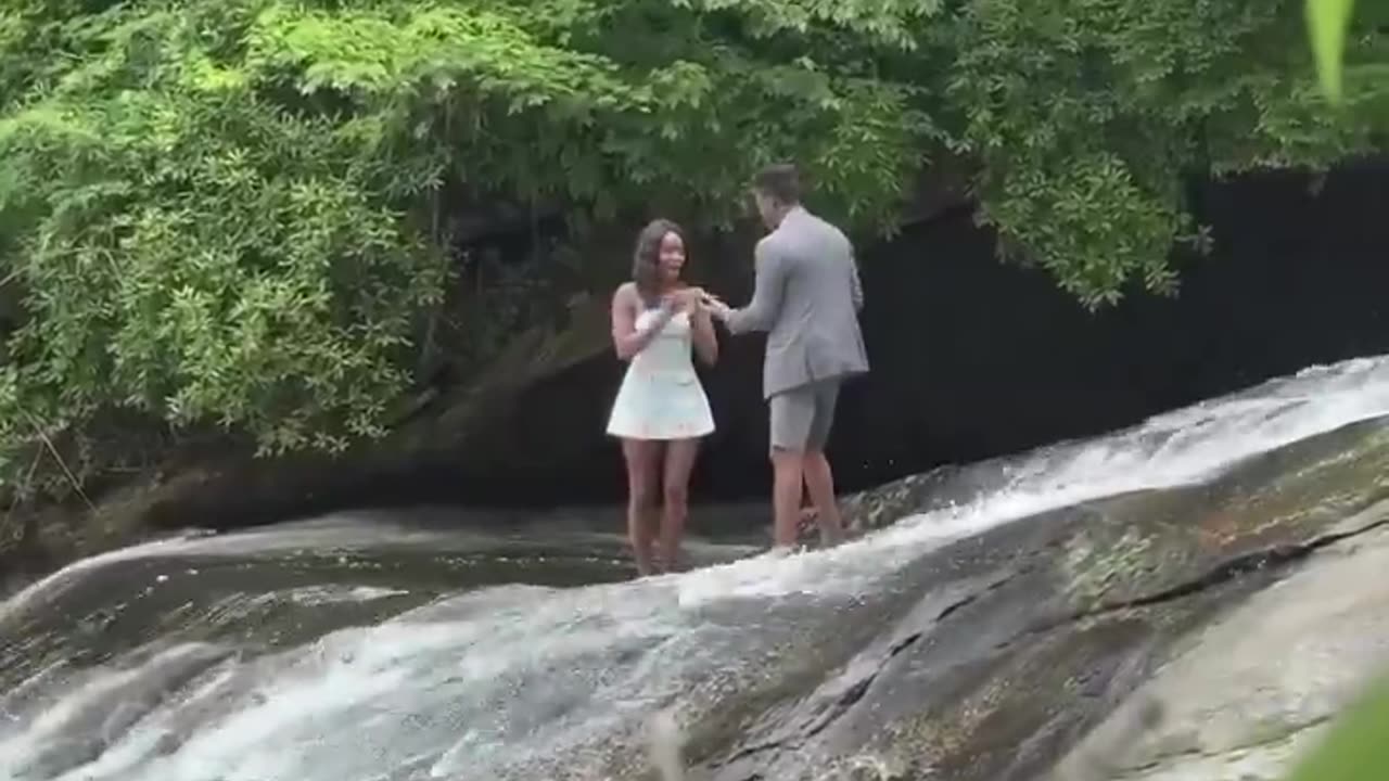 Proposal